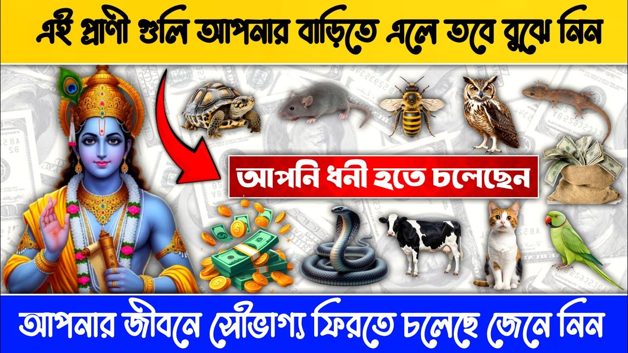আপনার জীবনে সৌভাগ্য ফিরতে চলেছে জেনে নিন 😱আপনি ধনী হতে চলেছেন💸🕉️ #facts #mythology @Sanatani_bangla 