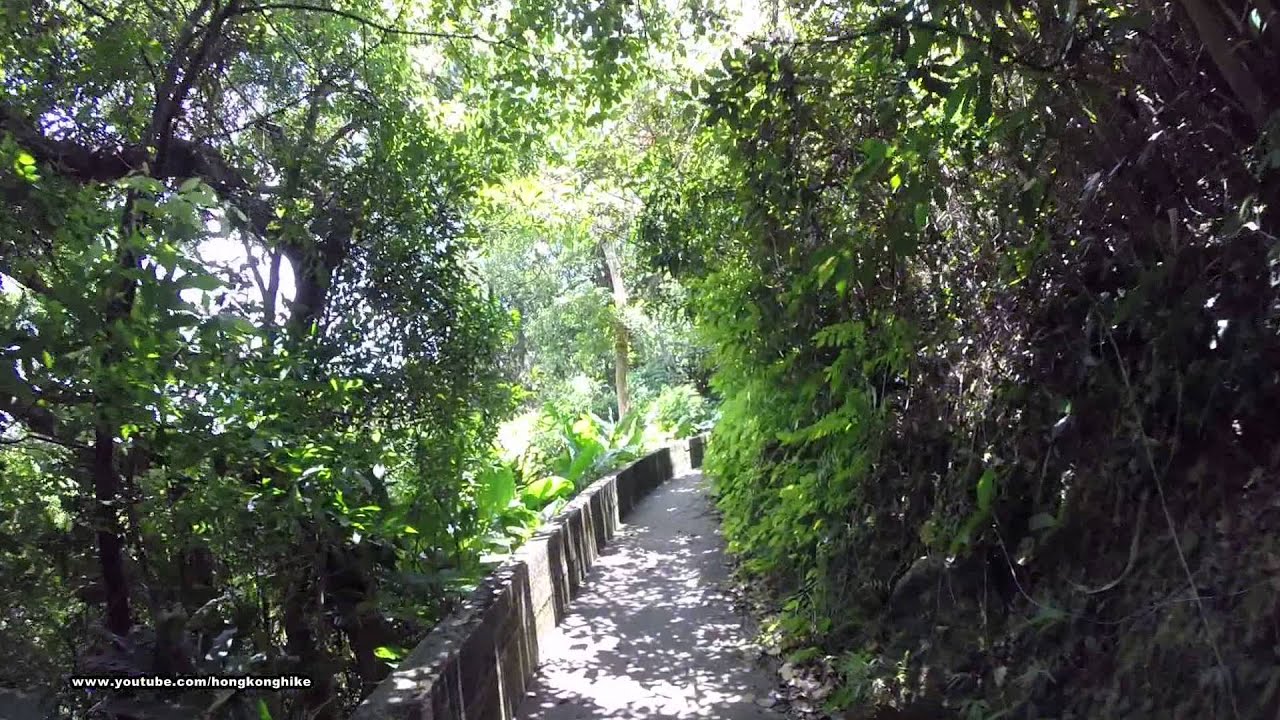 【Hong Kong Hiking】Trail 302 (Chatham Path - Central Green Trail)