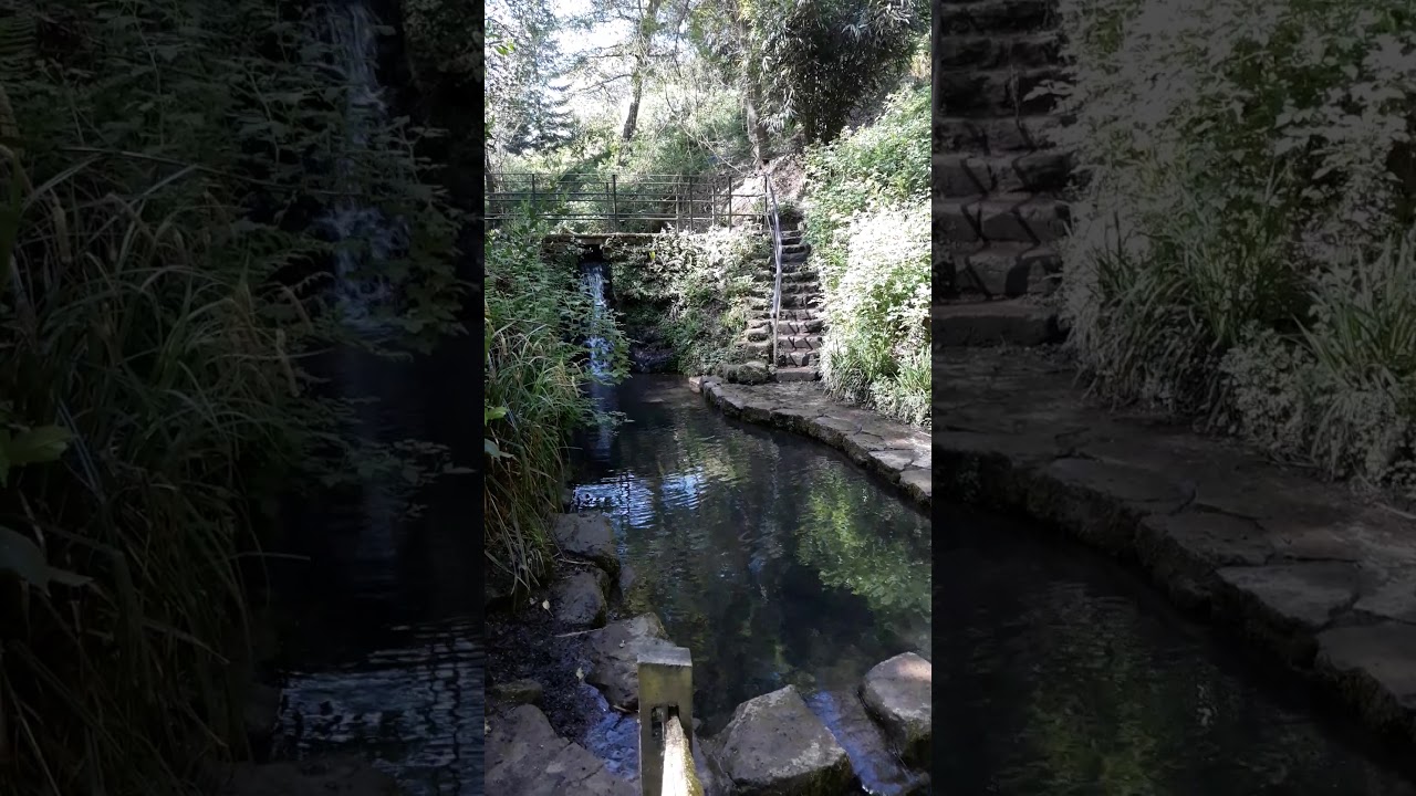 Nine Springs Vid 10 Tedgers Ramble