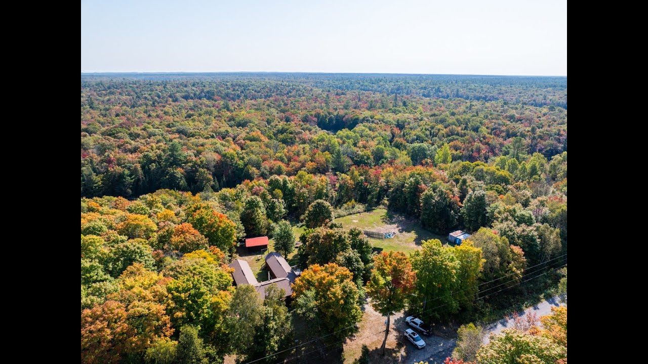 Family compound, 4 season residence, 2 guest cabins, 3.96 acres. Abutting crown land & a river/lake