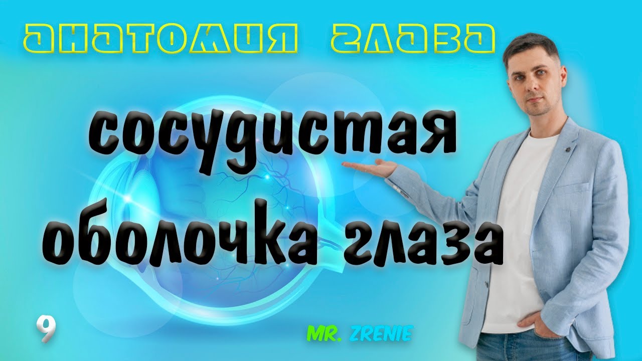 Cосудистая оболочка глаза | Хориоидея