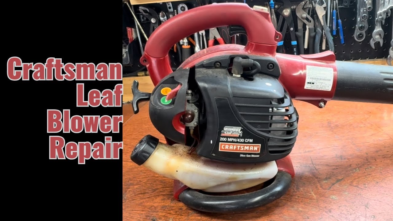 Craftsman leaf blower not starting? Do this!