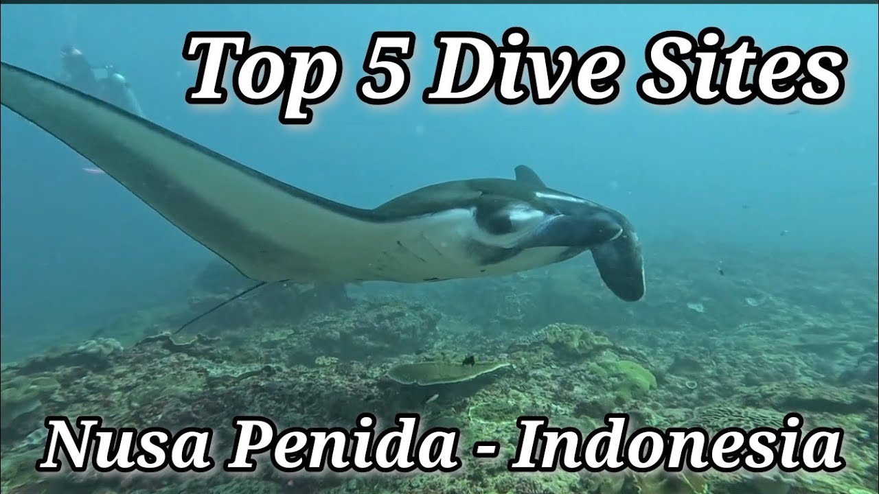 Scuba Diving Nusa Penida: Epic Dive Sites from Nusa Lembongan with Dive Concepts
