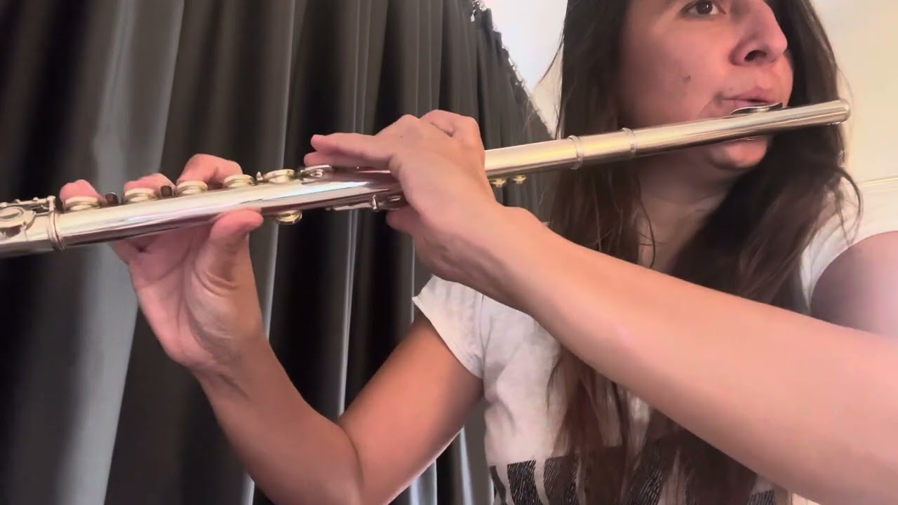 The Cranberries - Zombie (flute cover)