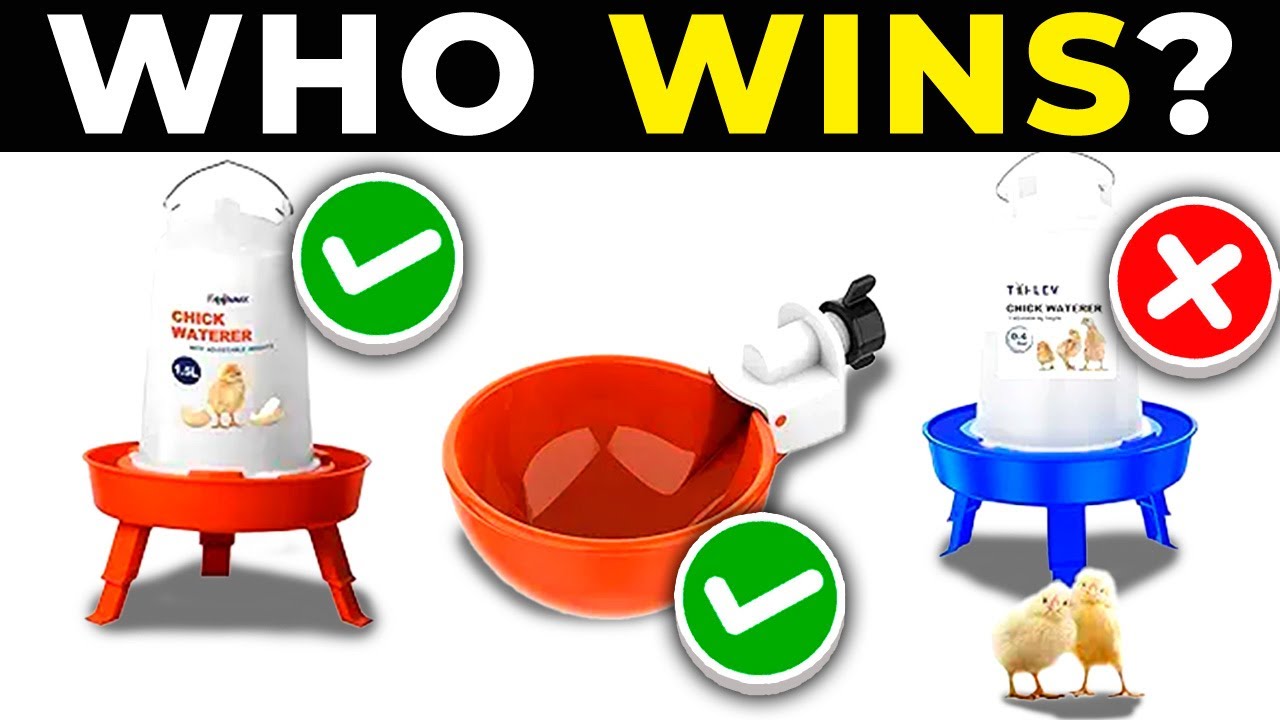 TOP 5 BEST CHICKEN WATERERS 2026 | Affordable Chicken Waterers on AMAZON