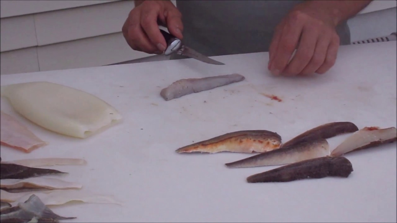 Flounder/Fluke Bait Strips
