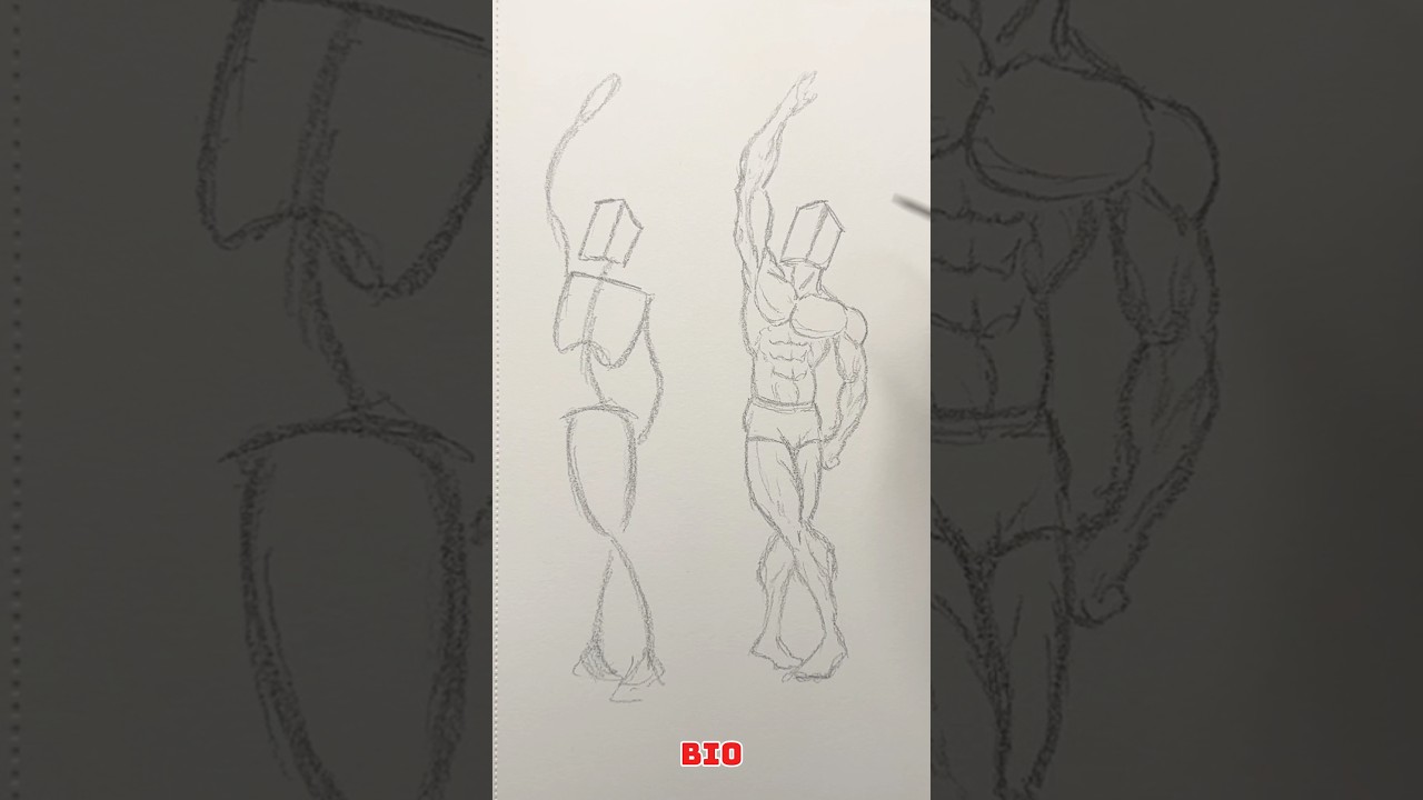How to Use Gesture Drawing 