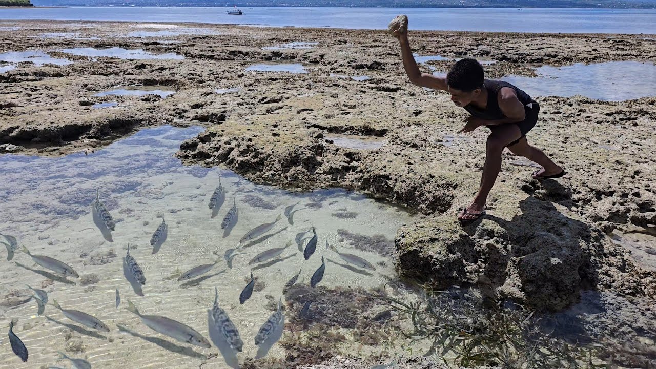 PULAU TERPENCIL Ikan-ikan pada terjebak saat air surut 😱