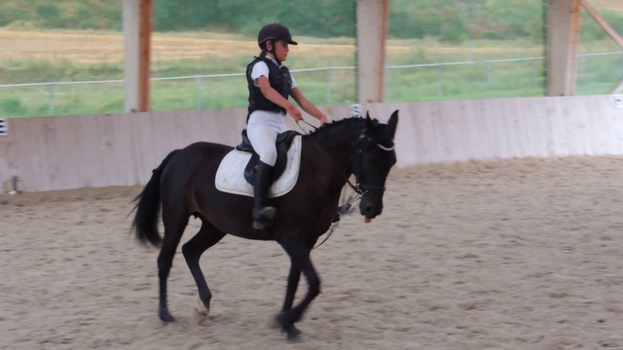 4/08/16 - Galop 4 dressage - Garance sur Artémis