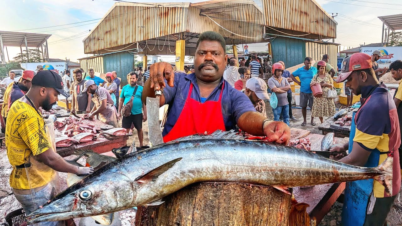 WoW AMAZING ITERESTING HUGE FISHES CUTTING ON STREET BY EXPERT MASTER FISH CUTTING SHOW 2025