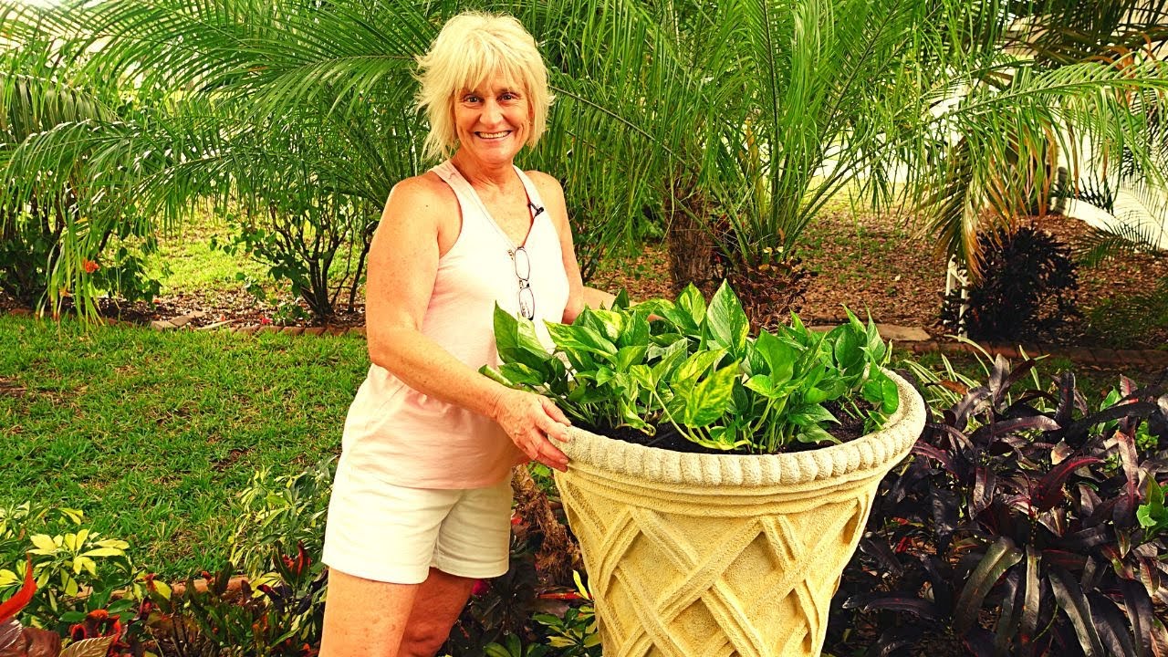 🌴 Pruning Queen Palm Trees // Planting Caladium Bulbs in my New Concrete Planter // Growing Tropical