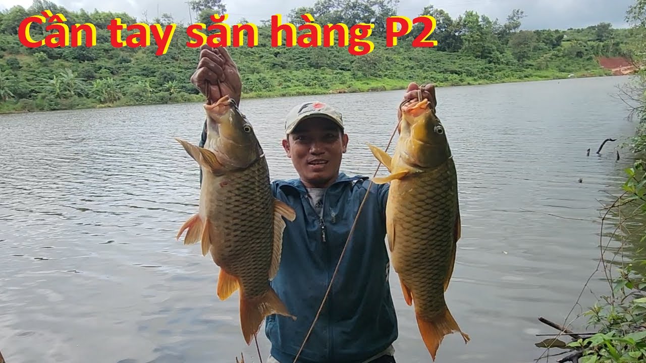 Chinh phục cá chép cụ trú dưới gốc cây | Cần tay săn hàng P2 | 20-7-2024