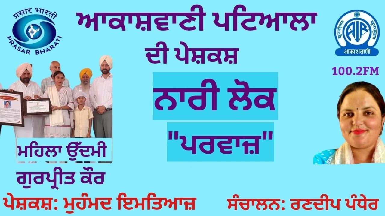 ਨਾਰੀ ਲੋਕ 