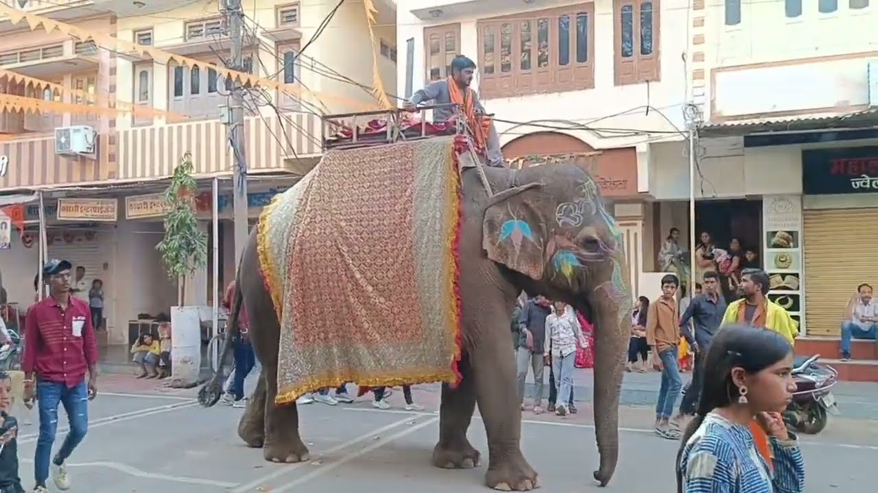  भगवान शिव की शोभा यात्रा 🙏 हर हर महादेव | आमेट का अद्भुत दृश्य 2026 | आमेट शिवरात्रि जुलूस