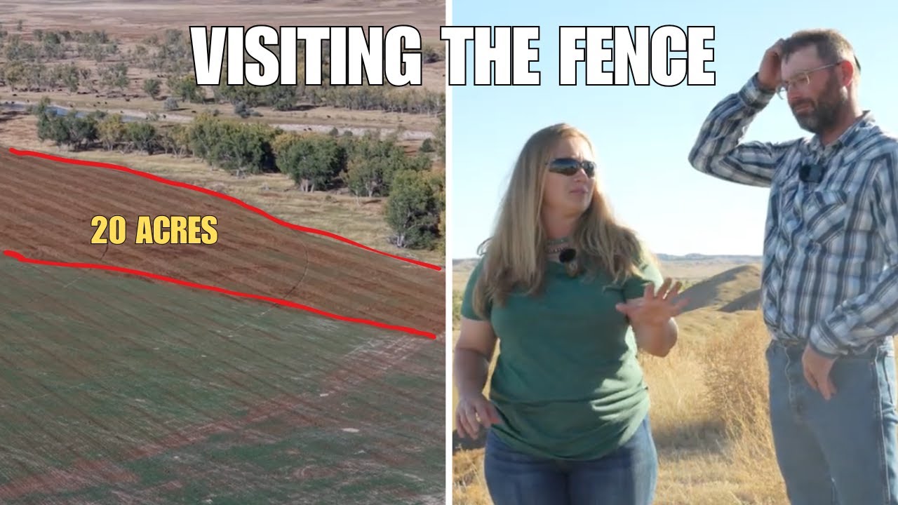 Visiting The Disputed Private Boundary Line, And Revisiting How Exactly It Led To Criminal Charges