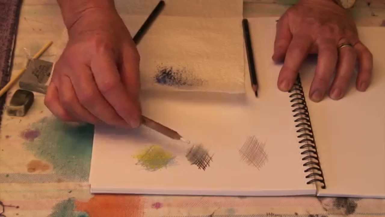 DVD - Drawing Techniques with Tricia Reust