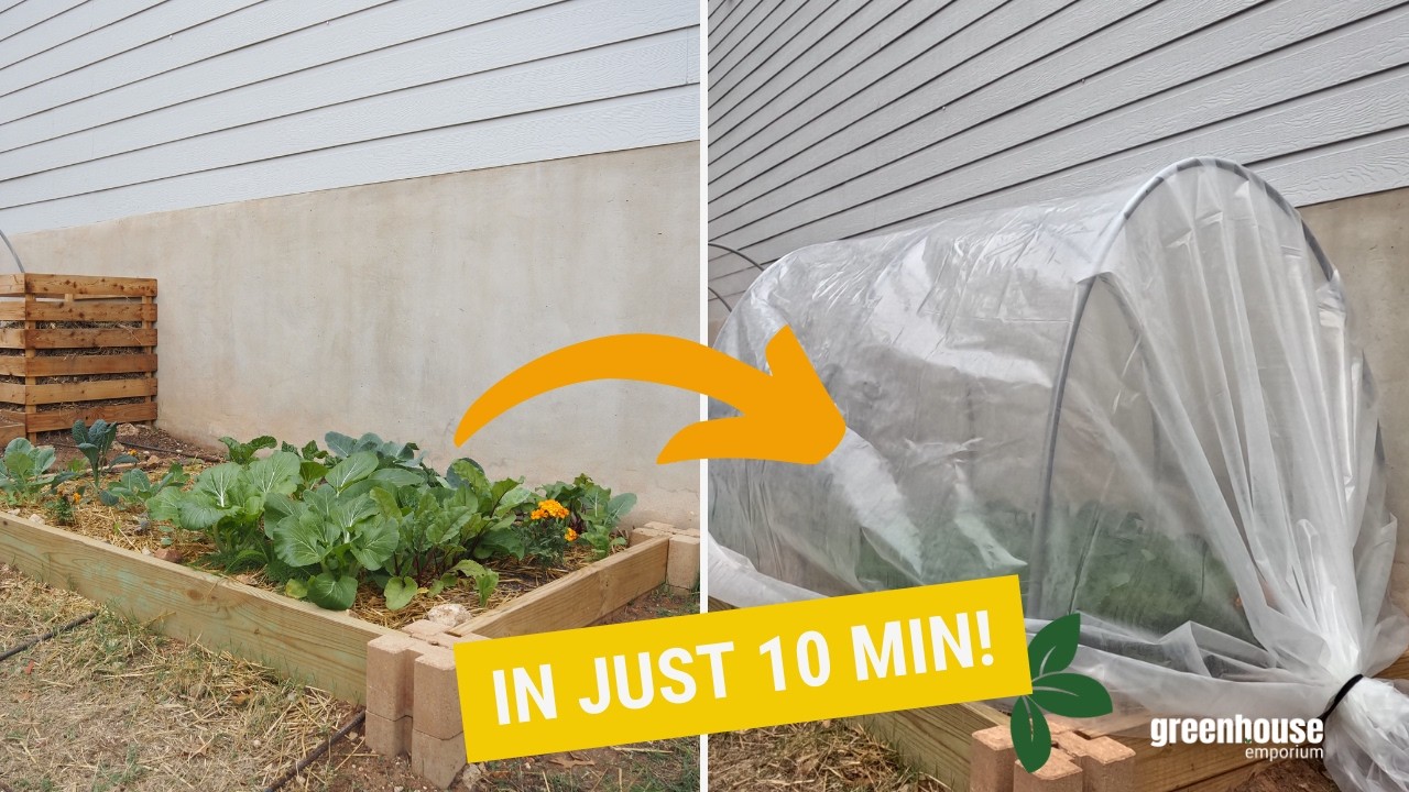 Build a Hoop House in Minutes: Simple & Affordable Winter Solution