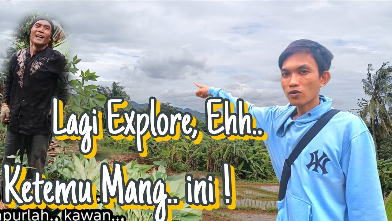 Suasana Kebun Pagi Hari — Cerita Santai di Alam