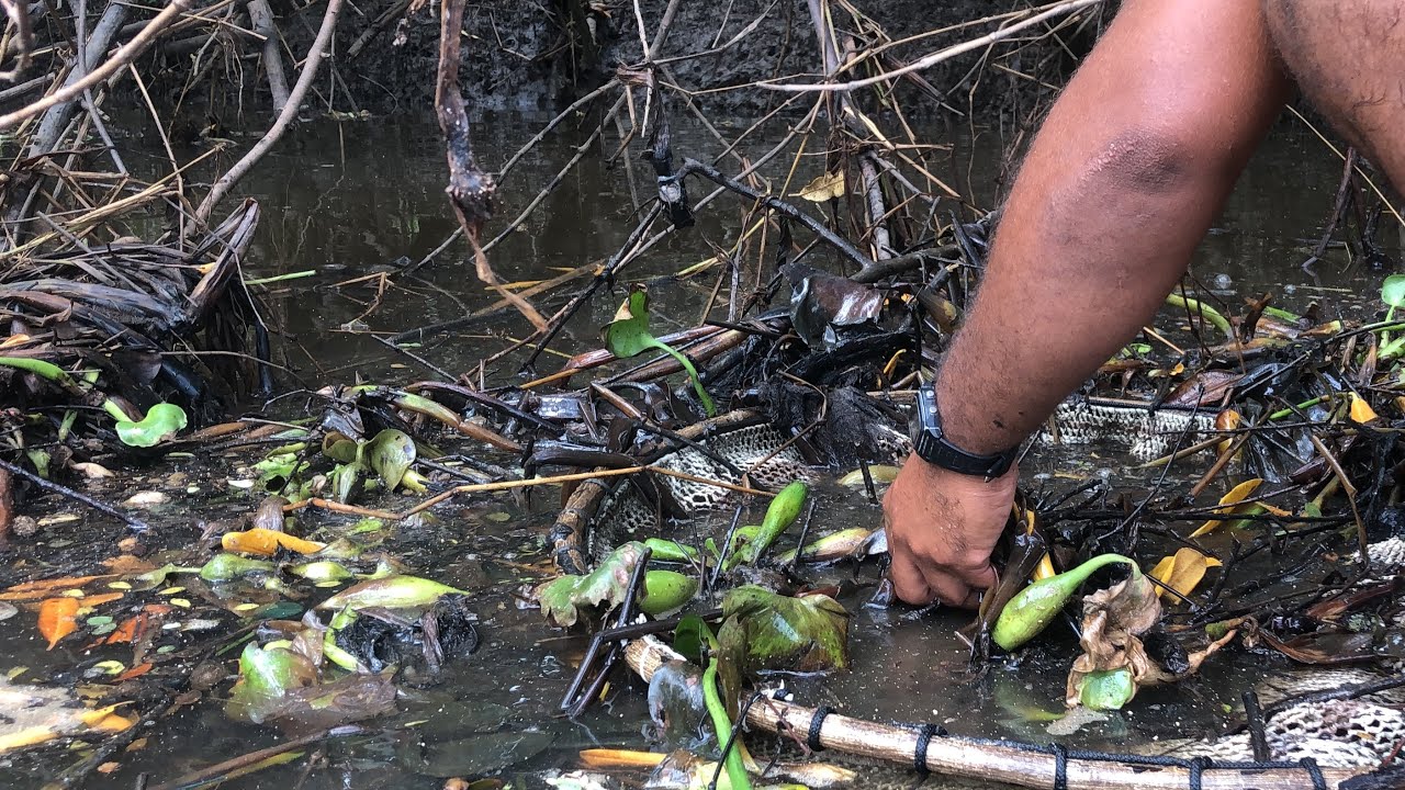Dia de pesca no rio Manguaba pr&oacute;ximo ao mar.