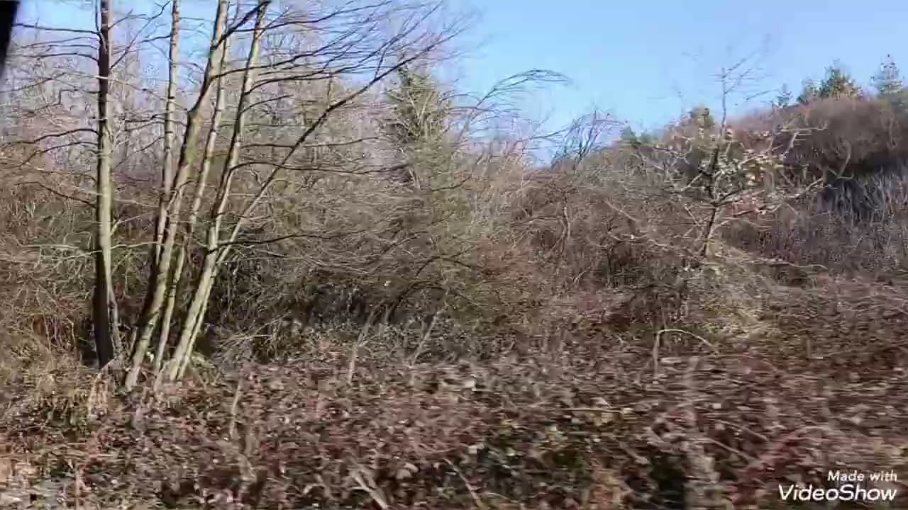Мястото, което малцина знаят: Добра вода“.🌲✨ #shorts #bulgaria 