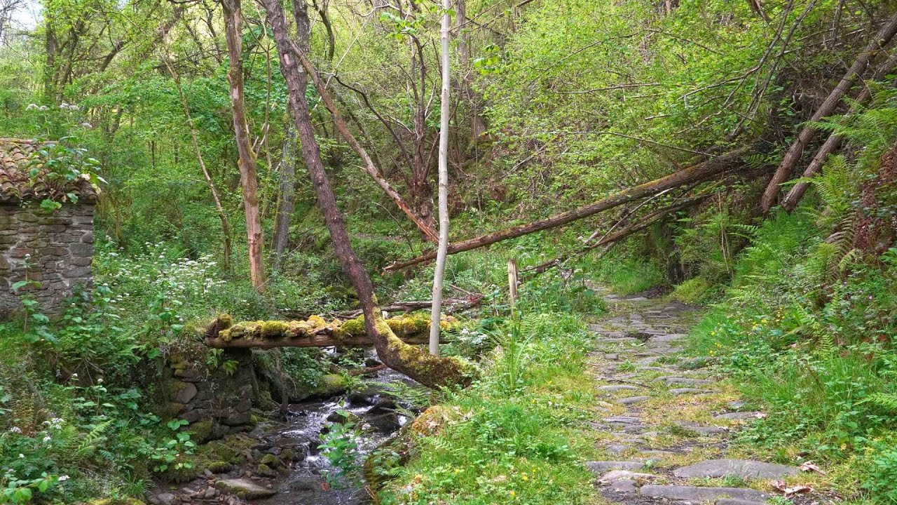 (4K) Subida a San Justo, Pico Cogollo (techo de Langreo), Asturias  | Techos de Asturias #senderismo