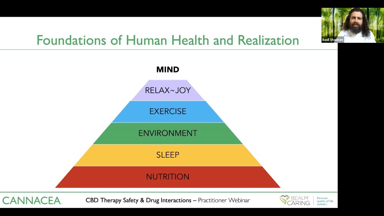 Understanding drug interactions and safety for CBD-dominant Therapy with Cannacea