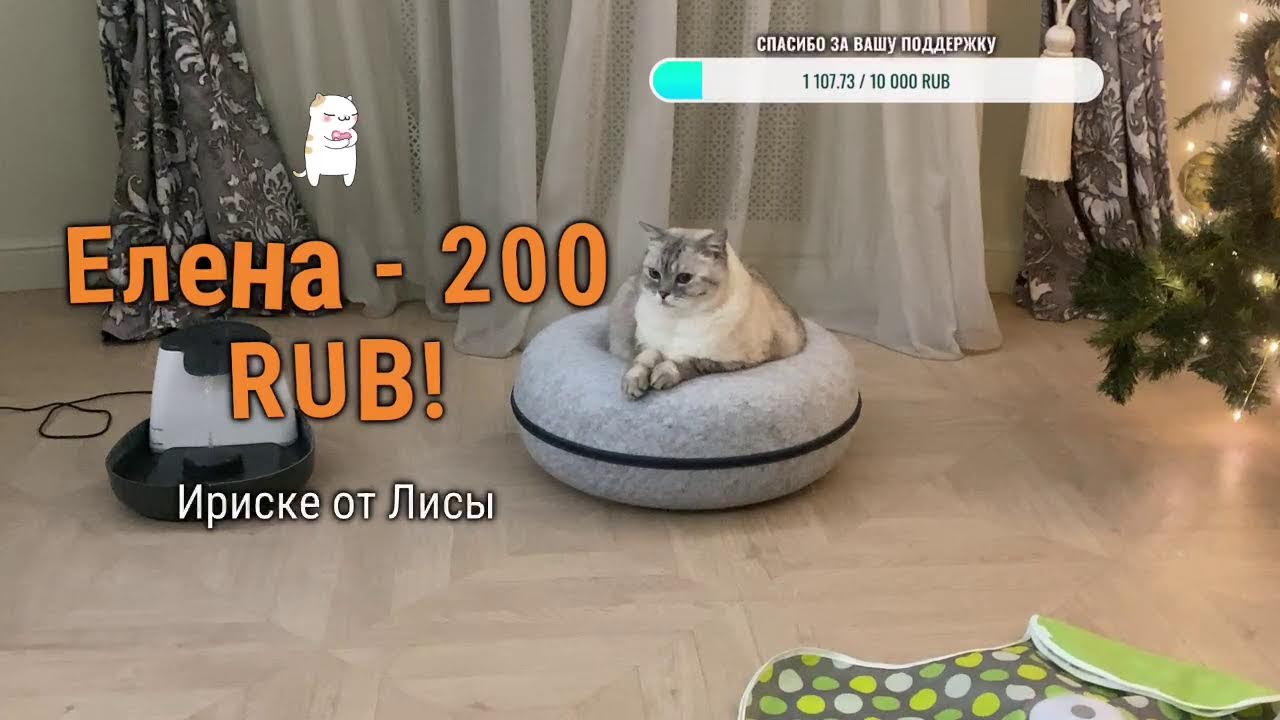 Добрый вечер