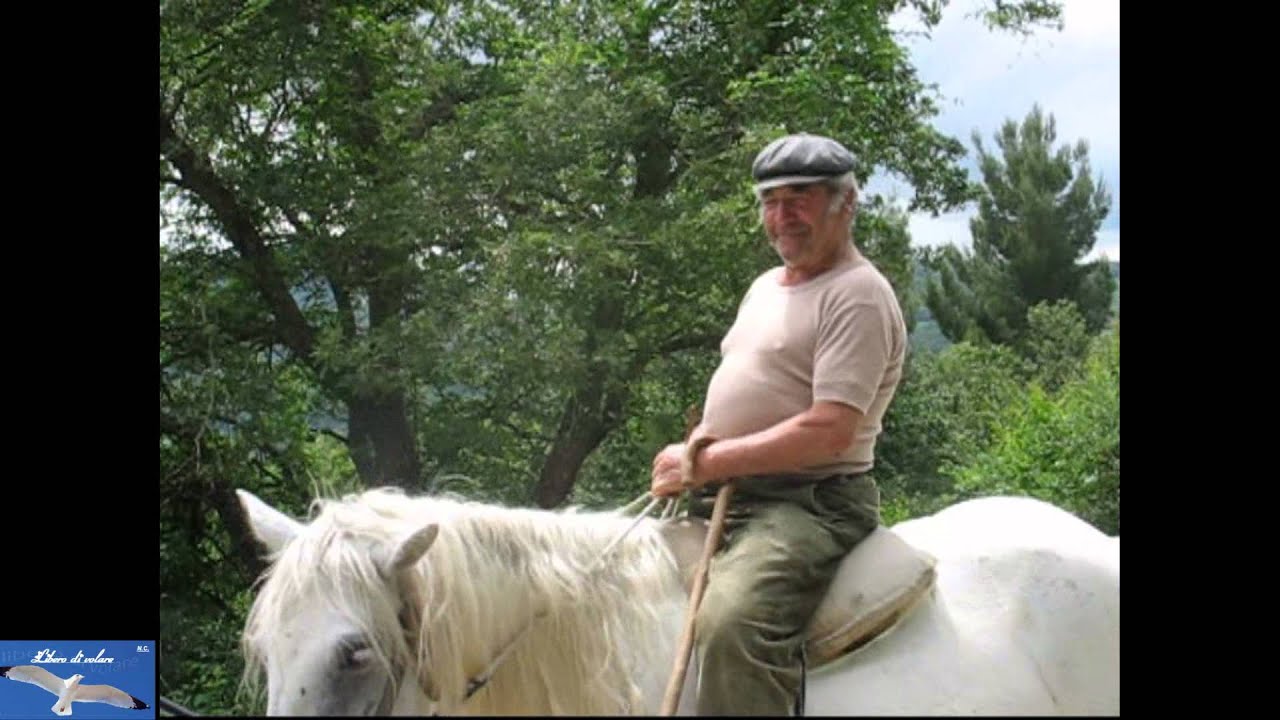 Bovino- Le mucche podoliche a  Bovino.-You Tube -