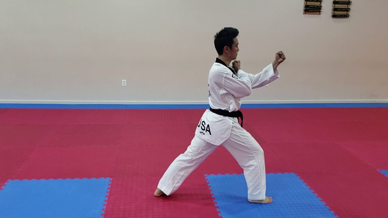 Taegeuk PAL 8 JANG - Red with Black Stripe Class