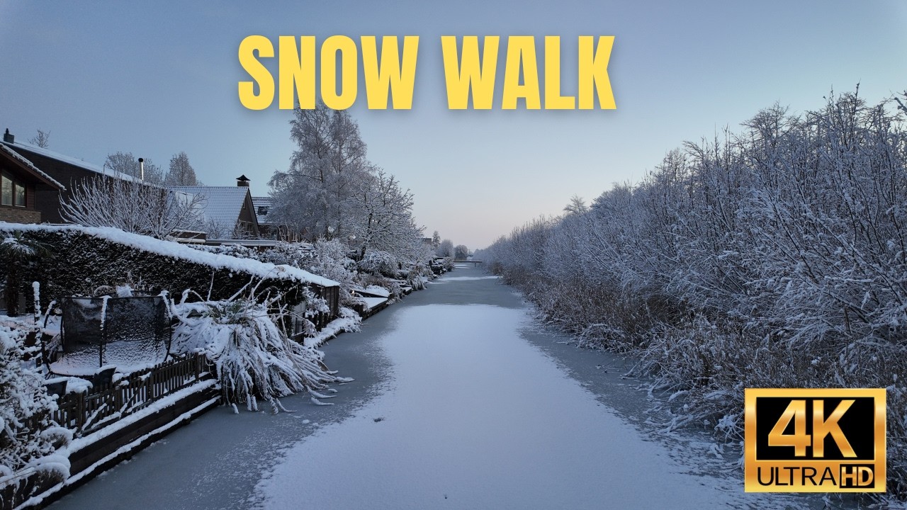 First Snow Walk 2026 in the Netherlands ❄️ Peaceful Winter Walk | Snowy Streets & Calm Ambience