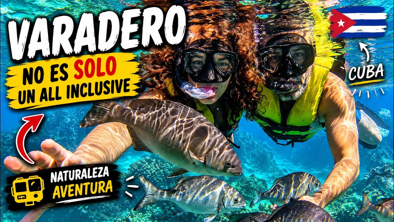 Excursiones en VARADERO 🇨🇺: Playas, peces y lugares INCREÍBLES