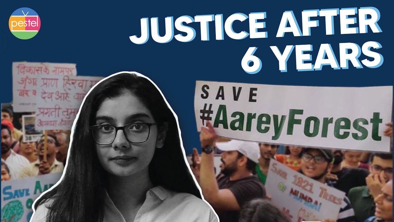 How Mumbai saved its last forest | The Fight for Aarey