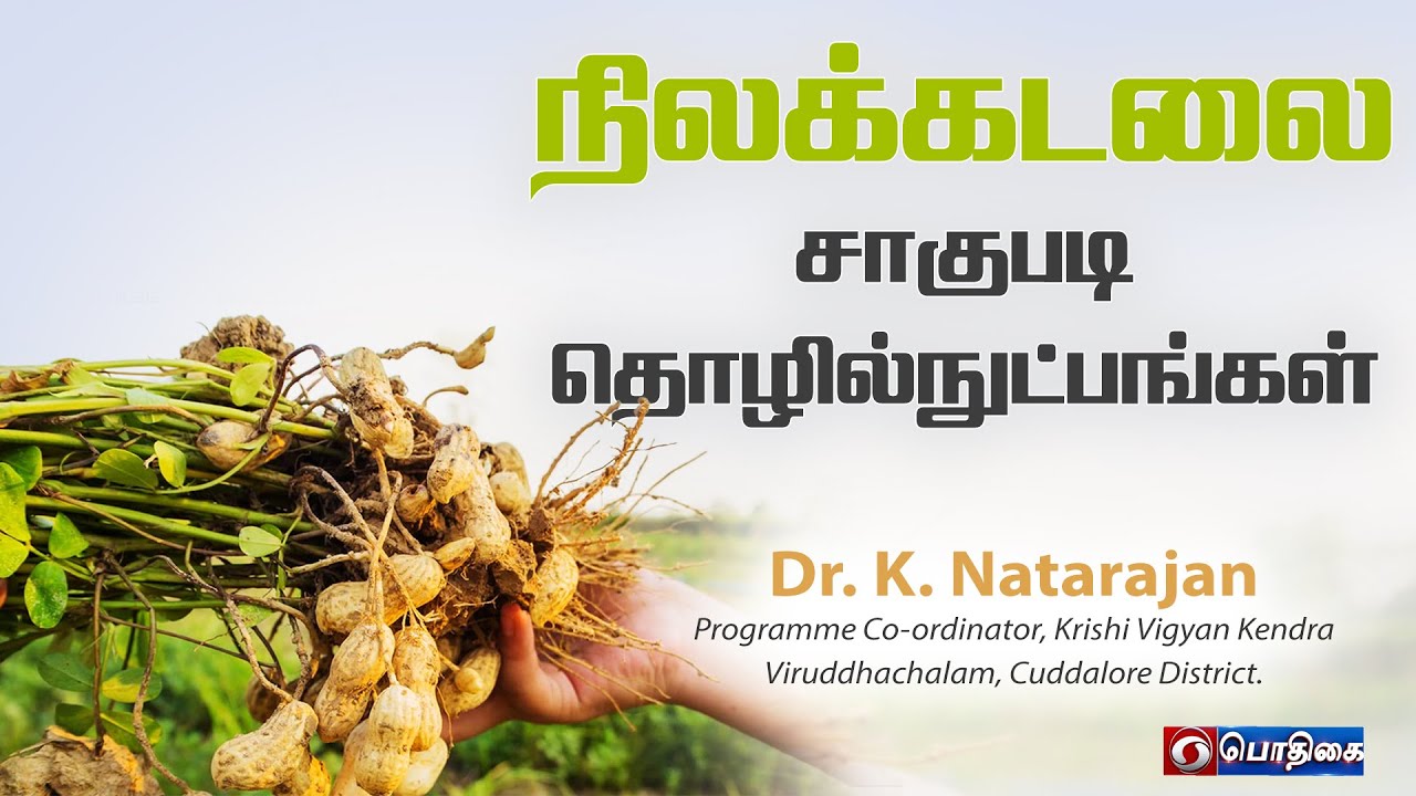🔴LIVE : நிலக்கடலை சாகுபடி தொழில்நுட்பங்கள் | Velan Kalam | 02.10.2023