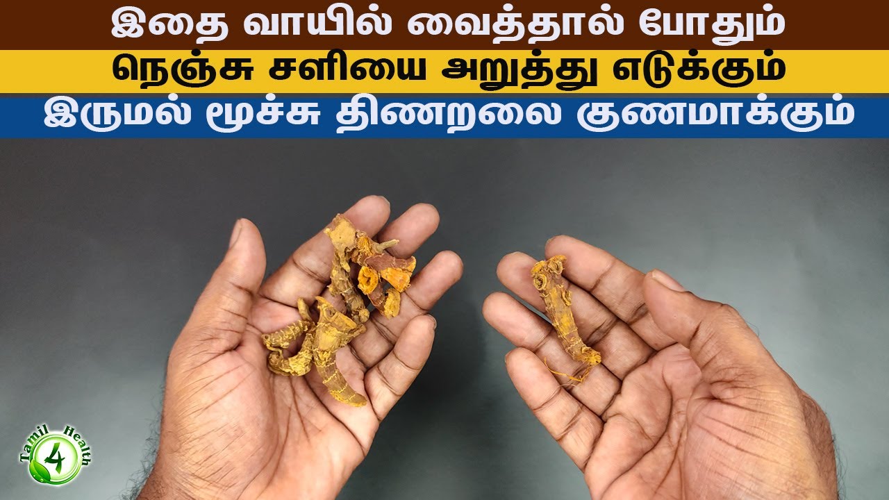 இதை வாயில் வைத்தாலே நெஞ்சு சளியை அறுத்தெடுக்கும் இருமல் மூச்சு திணறலை குணமாக்கும் cold remedy