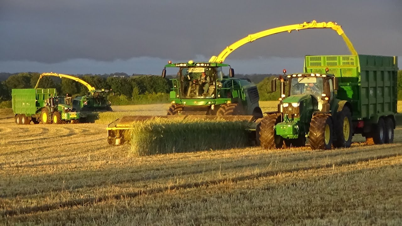 Wholecrop Silage 2022 - Wholecrop with TWO John Deere 9900i's, 6250Rs, JCB Fastracs, Fendt & Ag Bag!