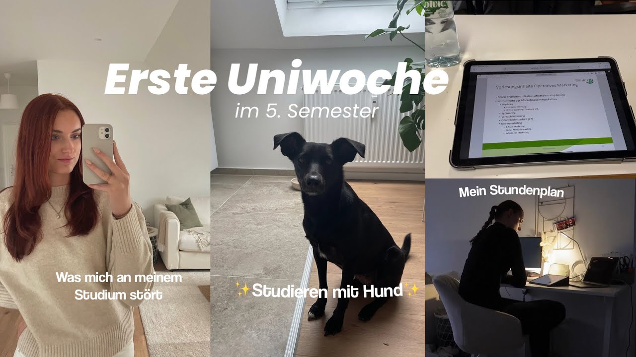 BACK TO UNI Vlog: Mein 5. Semester startet, Studieren mit Hund & Zweifel am Studium?!