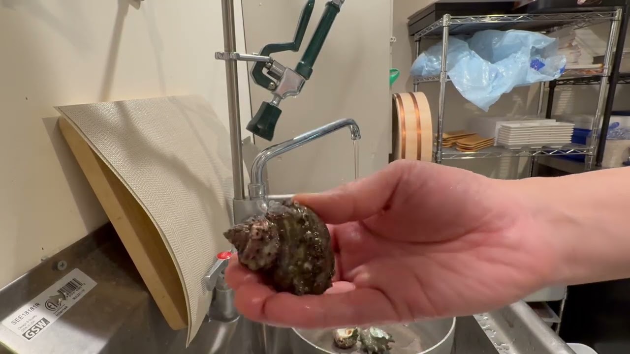 How to wash (sazae) Sushi Nakata style!