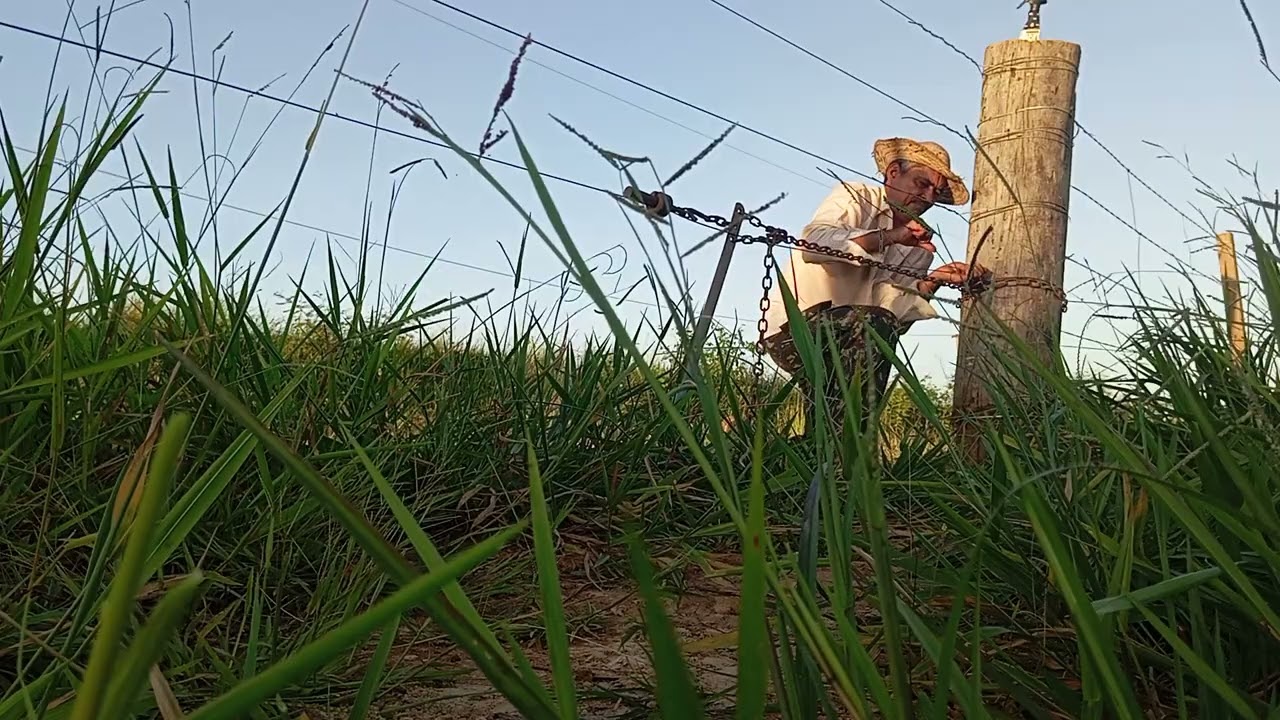 quem está começando na pecuária veja este vídeo 