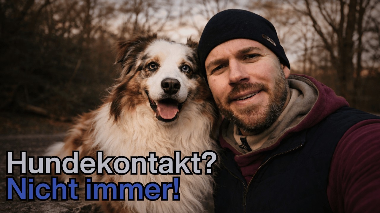Der will nur spielen… oder?