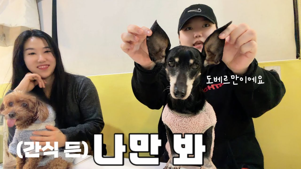 [vlog] 🐶가나디에도, 나는솔로에도 과몰입한 하루ㅋㅋ | 29기 과몰입 수다