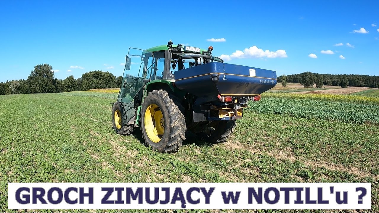 GROCH ZIMUJĄCY - STRATEGIA - UPRAWA NOTILL ?