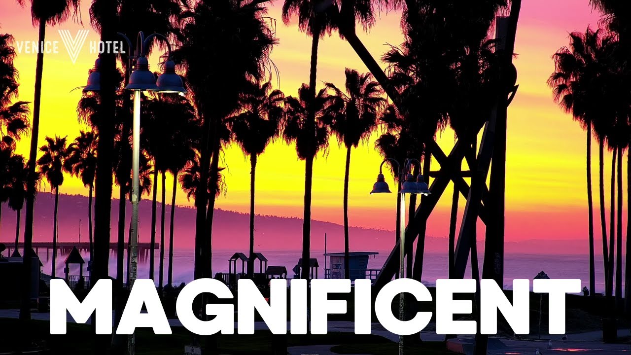 Magnificent sunrise at Venice Beach (filmed from the V Hotel) - 13 January 2023