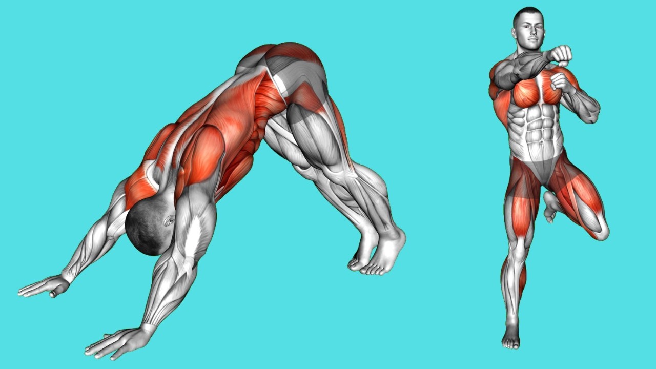 Ultimate FAT BURNING Cardio Routine At Home (Beginner Friendly).