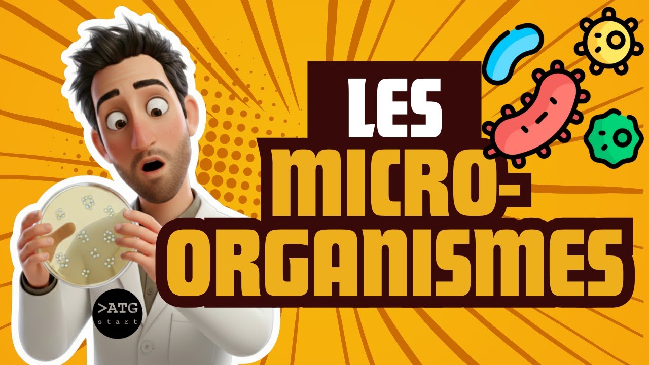 Les micro-organismes 🦠