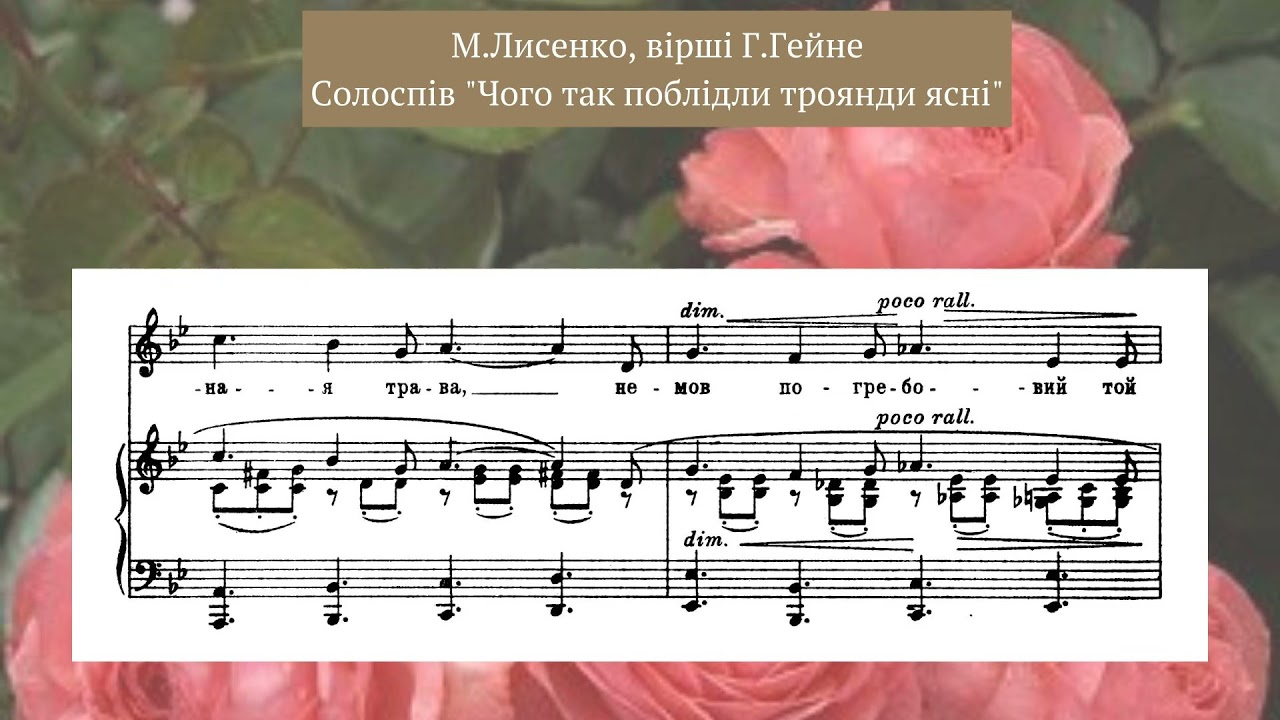 Лисенко, сл. Г.Гейне 