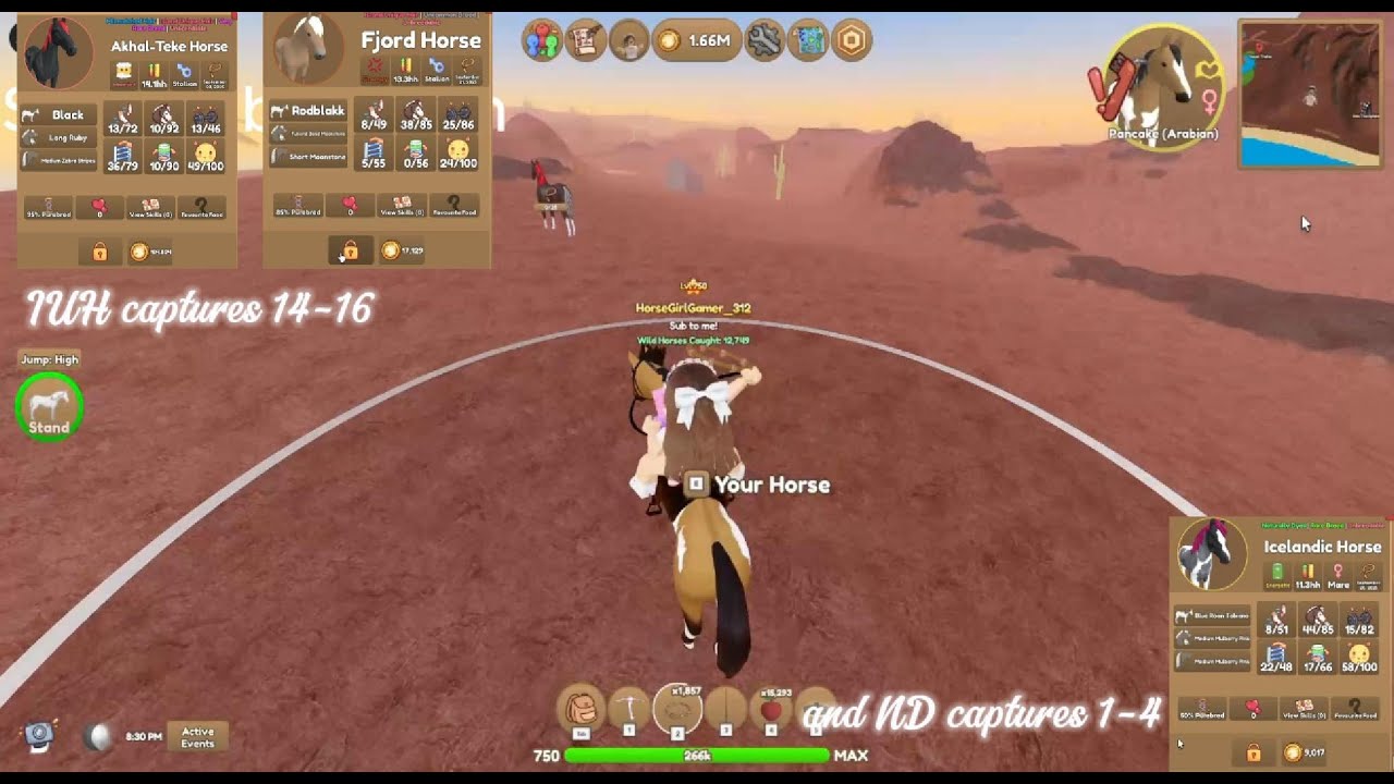 Все мои уловы IUH (14-16) и ND (1-4) | Острова диких лошадей!