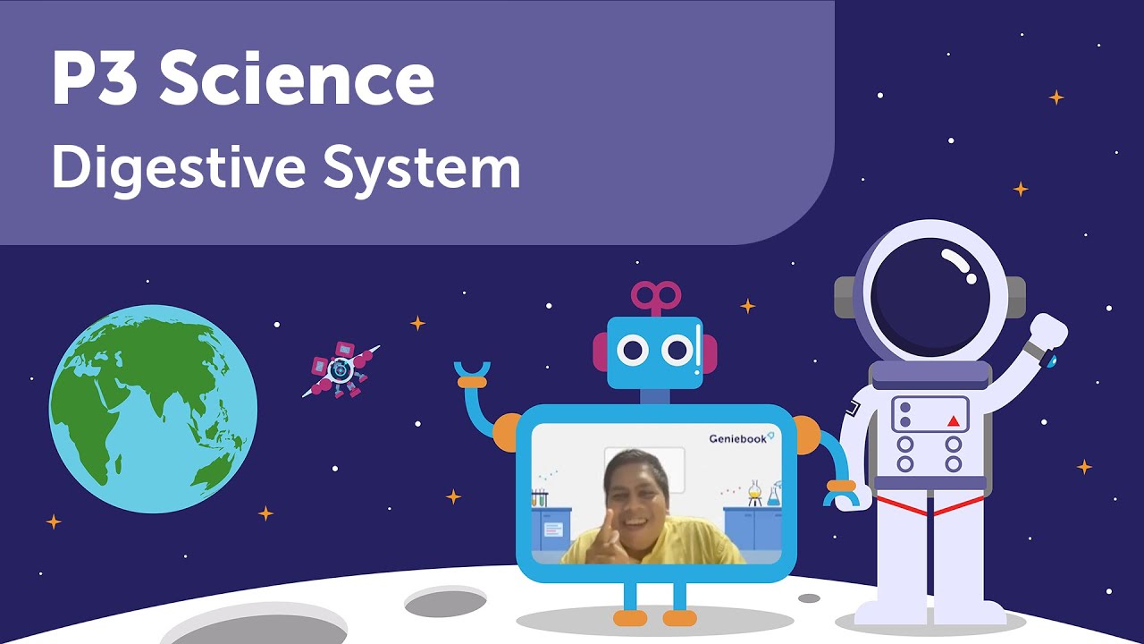 Digestive System | Science | Primary 3 | Geniebook