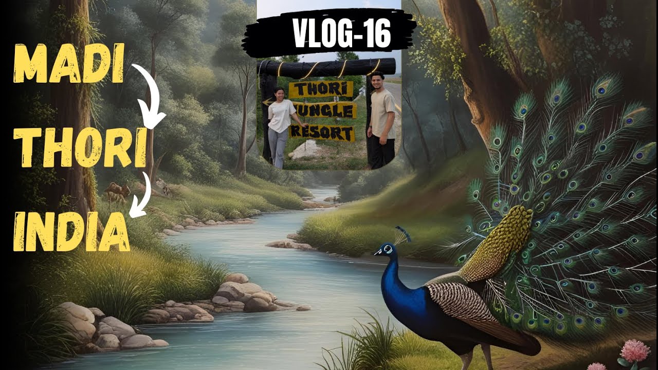Vlog - 16 || Thori to india. 🇳🇵 🇮🇳