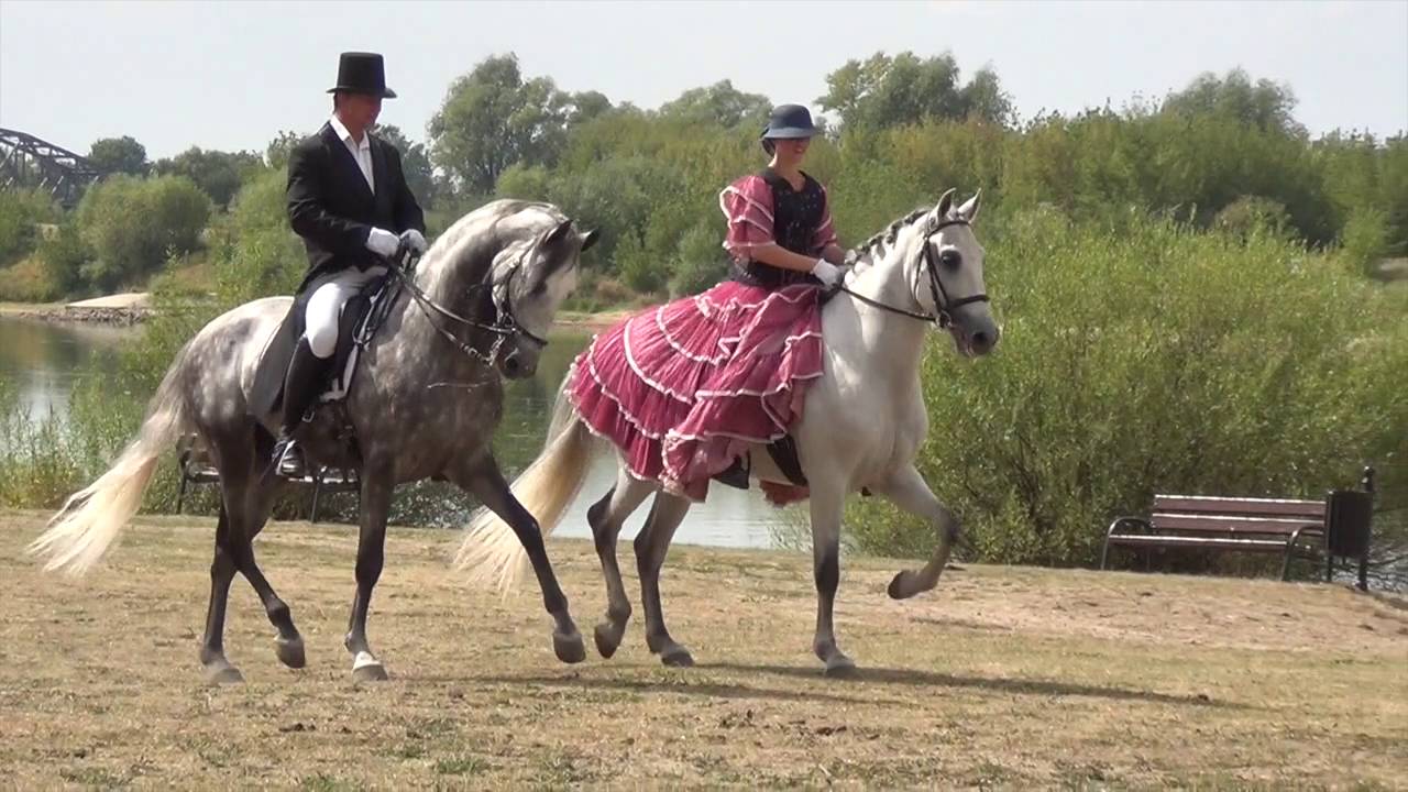 Pas des deux