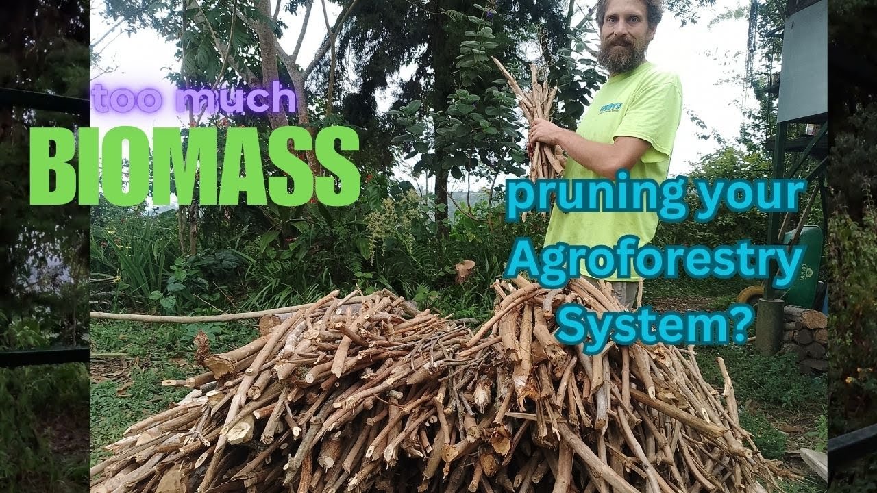 What to do with too much BIOMASS from pruning on your farm?